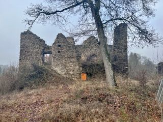 Die Ruine Ehrenstein