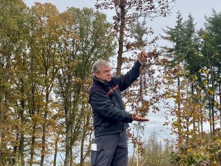 Baumpflanzaktion der Gruppe 